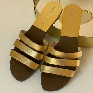 Zara flat Sandals!